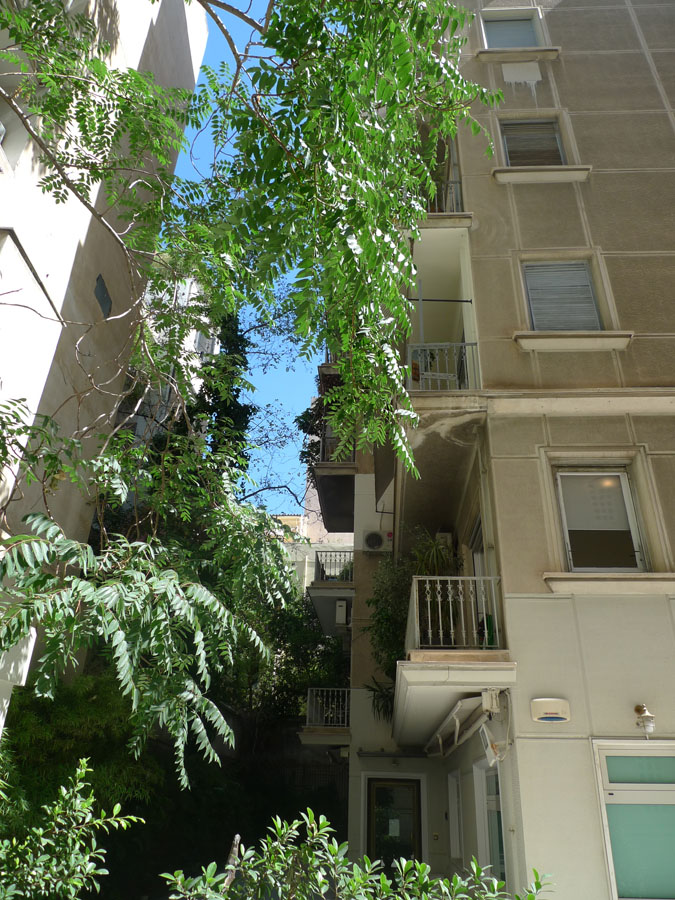 Νεοφύτου Δούκα - 1